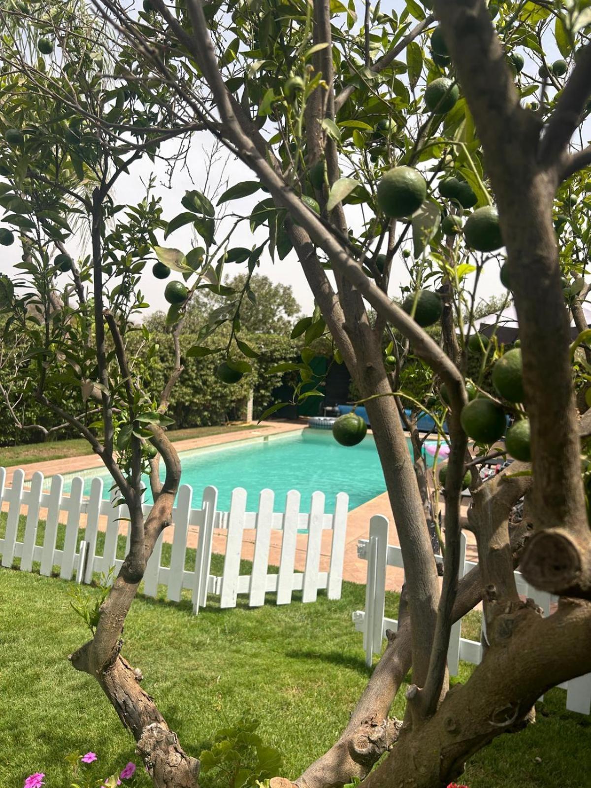 Villa Orangeraie Agadir Eksteriør billede